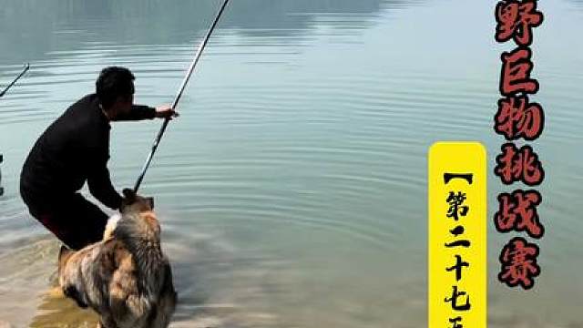 挑战荒野钓鱼比赛三十天赢大奖 第27天 #钓鱼人 #钓鱼#沃鼎王者神剑四代大物竿 #抖音荒野垂钓季 #美人鱼千斤顶荒野巨物挑战赛