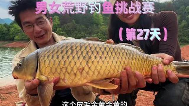 比赛已经到了最关键的时刻了，加油#美人鱼千斤顶荒野巨物挑战赛 #沃鼎王者神剑四代