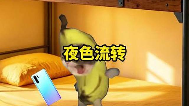 当你临睡前 室友的手机蓝牙没电了 #猫meme