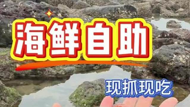 海鲜自助，现抓现吃