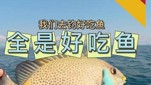 满海都是好吃鱼啊