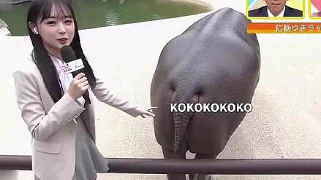 还得是日本人！