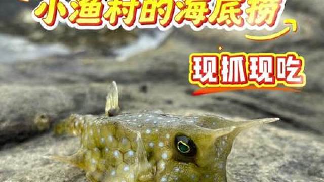 小渔村的海底捞火锅，就要现抓现吃