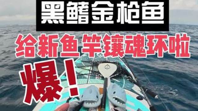 给鱼竿镶点鱼魂环