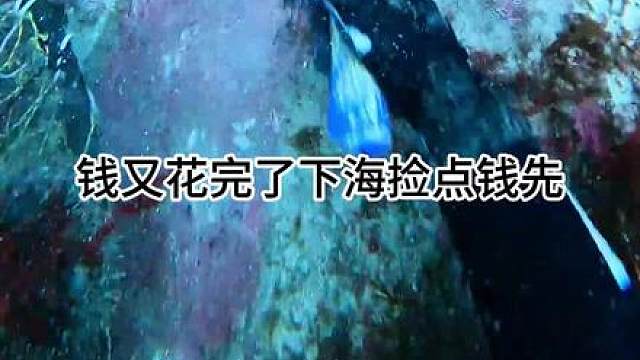 渔民海底赶海都能抓到什么海鲜之在喂一下我的小鱼粉丝