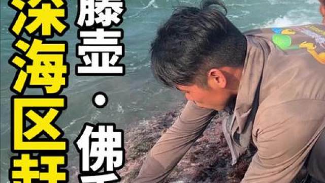 又到了吃藤壶的季节，肥美爆膏超好吃，今天我们去深海区赶海！