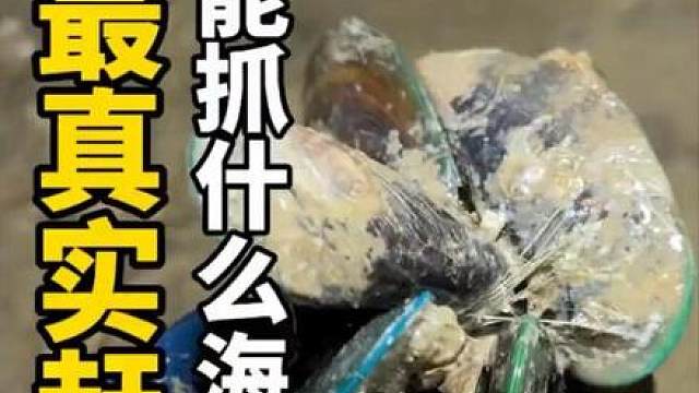 大退朝给你们看最真实的赶海，在我们这里能抓到什么海鲜收获呢？