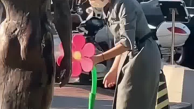 女生扶正路边的喷水小花不料被人提醒“快跑”