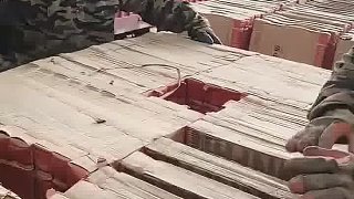 我是老板請過來叉車的，結(jié)果他們兩個找我要小費。