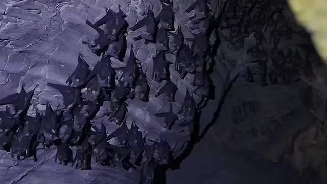 遇到这个要跑吗