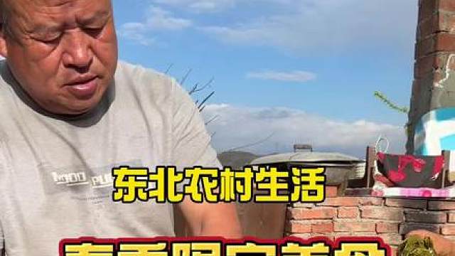 带大家瞅瞅老爸用杨树叶子做的春季限定美食到底好不好吃？你们有爱吃的吗？