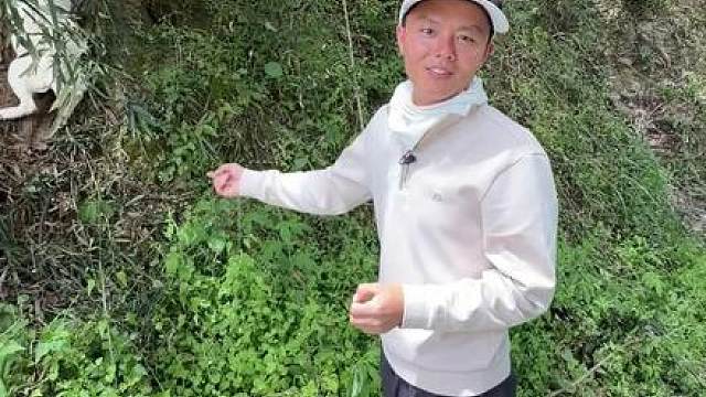 钓鱼路上遇到这种情况，你们会怎么做。结局让我破防了。