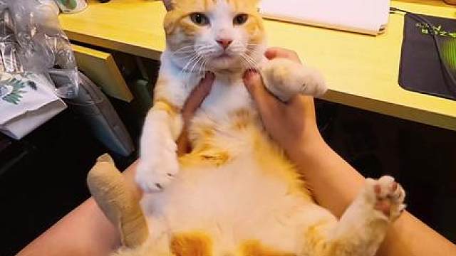 遵医嘱给寝室长拆掉