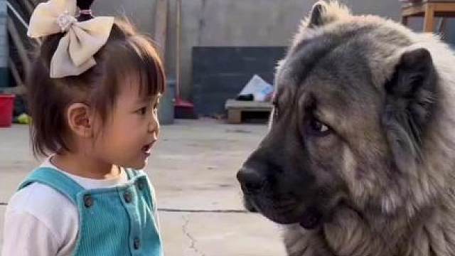 你能不能给我争点气呀