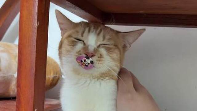 代码冲突无响应。。。