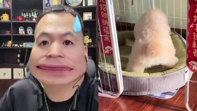 它是怎么做到秒睡的