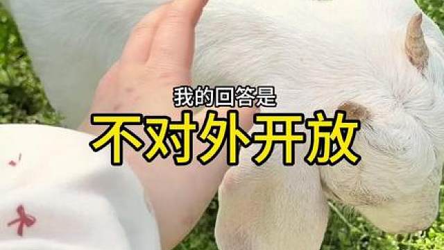 怎么就开始畜牧业了呢