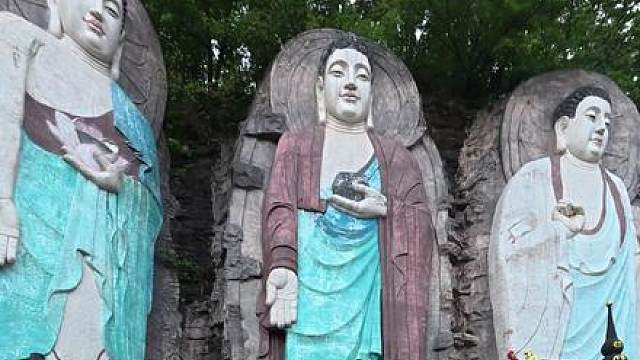 “米噶呀这次你又交到了好多好朋狗”