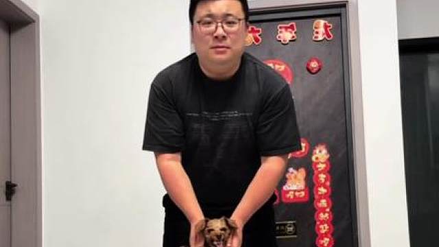 外教新歌出炉了