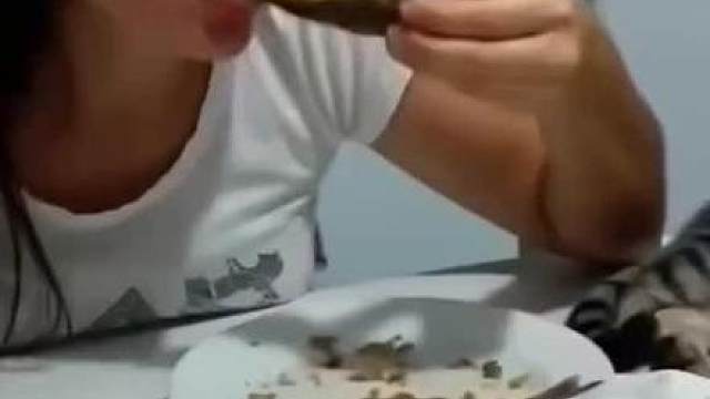 这猫有八百个心眼