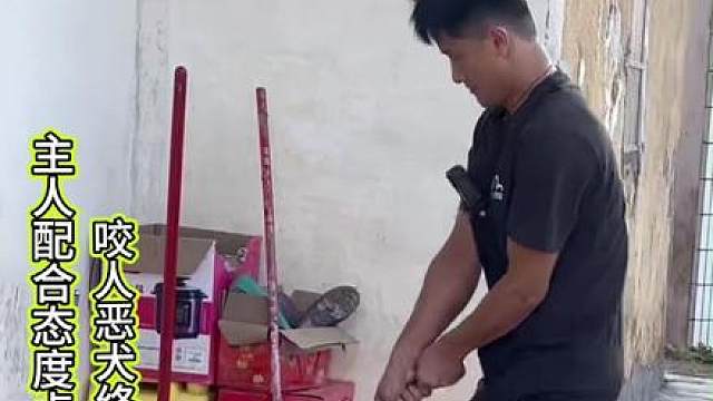 抓捕全程一本正经，结尾搞笑封神