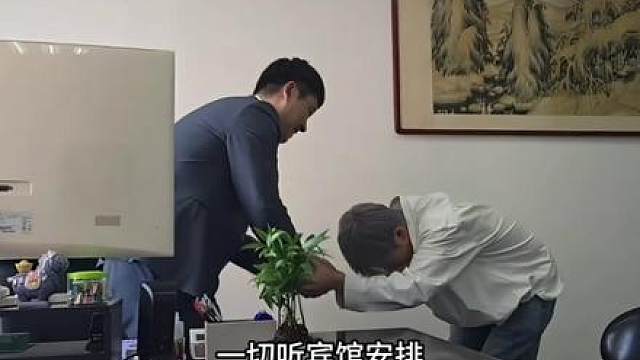 “爆笑面试”