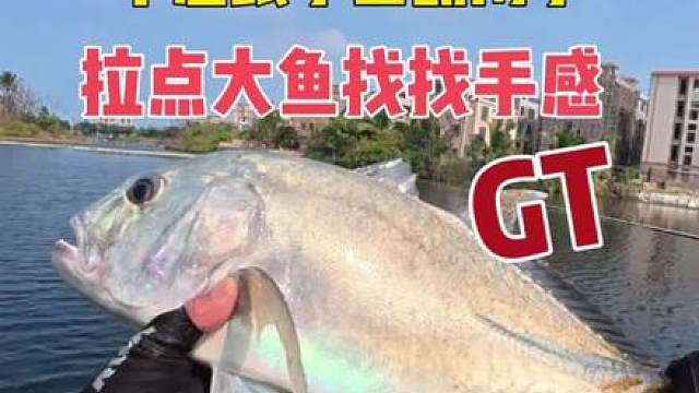 寻条有力气的鱼来拉一拉找回自信！