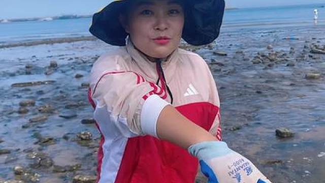 小章带着搭档虎子去赶海，没想到小狗居然发现一条巨型石斑鱼！