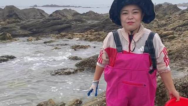 海边飘来成双成对的大水母，小章赶海发现螃蟹聚集地！