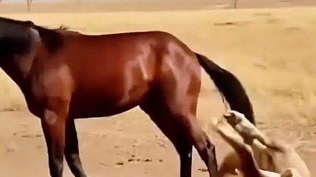 牙齿被马尾给挂住了吗
