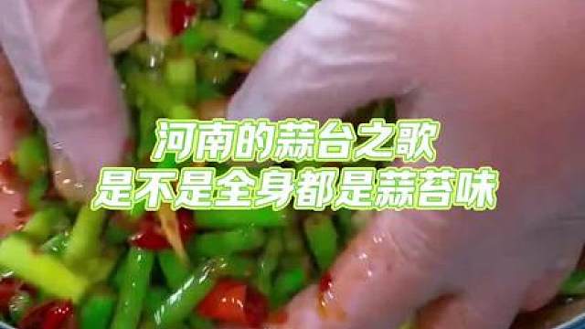 河南蒜苔之歌，你是不是全身都是蒜苔味