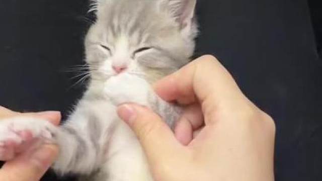 所有人保持低皮脂醇！