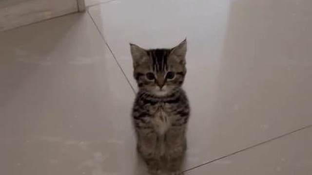 它真的好像个小宝宝