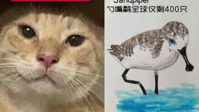 品质认准酷潮