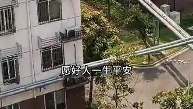 男子救出被困淤泥喜鹊放生，喜鹊竟帮他灭火报恩！