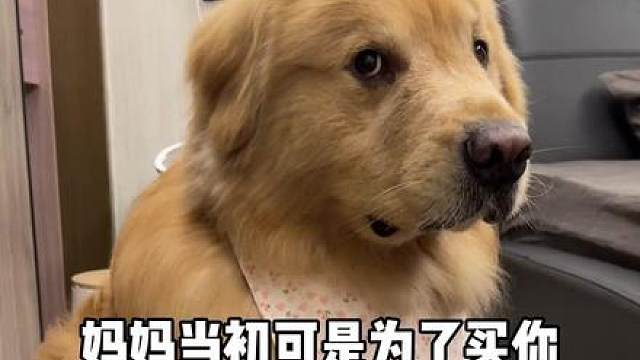 你真是只白眼狗
