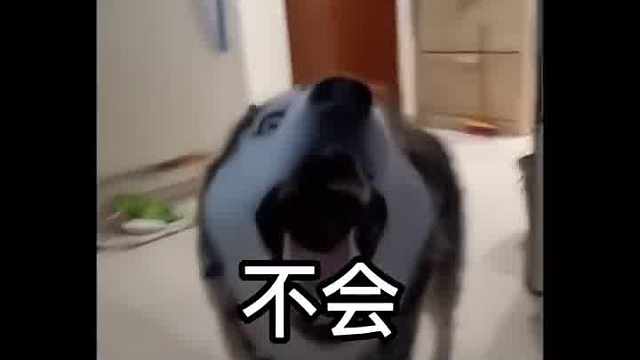 《言简意赅》