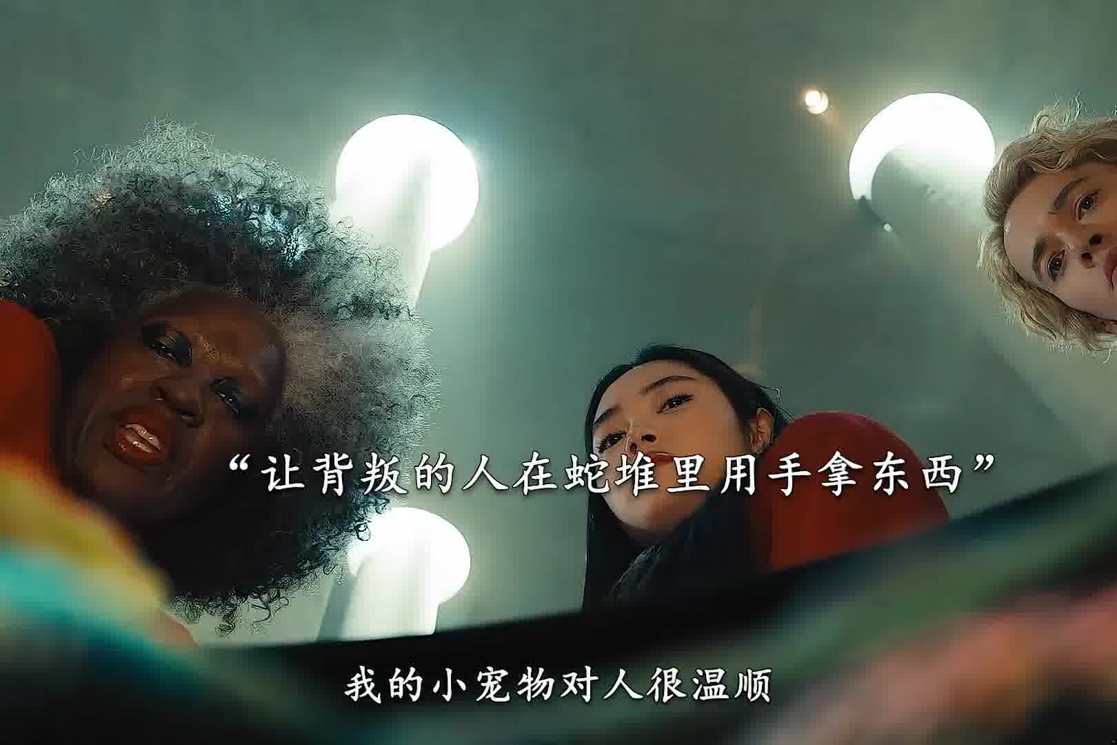 “君子报仇十年不晚都是废话，有仇当场就报才是最正确的操作！s！