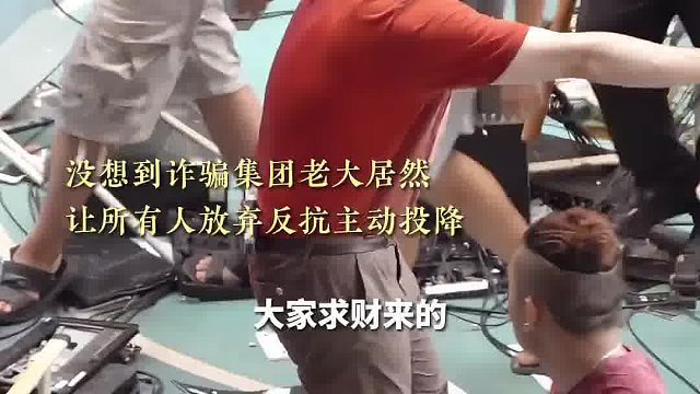 诈骗头子为什么让手下人投降？看到最后才懂。