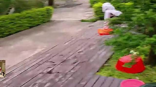 姿态 看姿态直播看aj播户外水上摔跤，笑点拉满