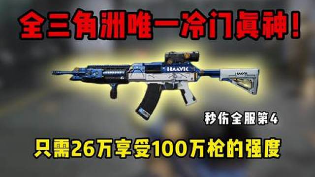 S9新赛季唯一冷门真神，只需26万就能享受百万枪的强度？