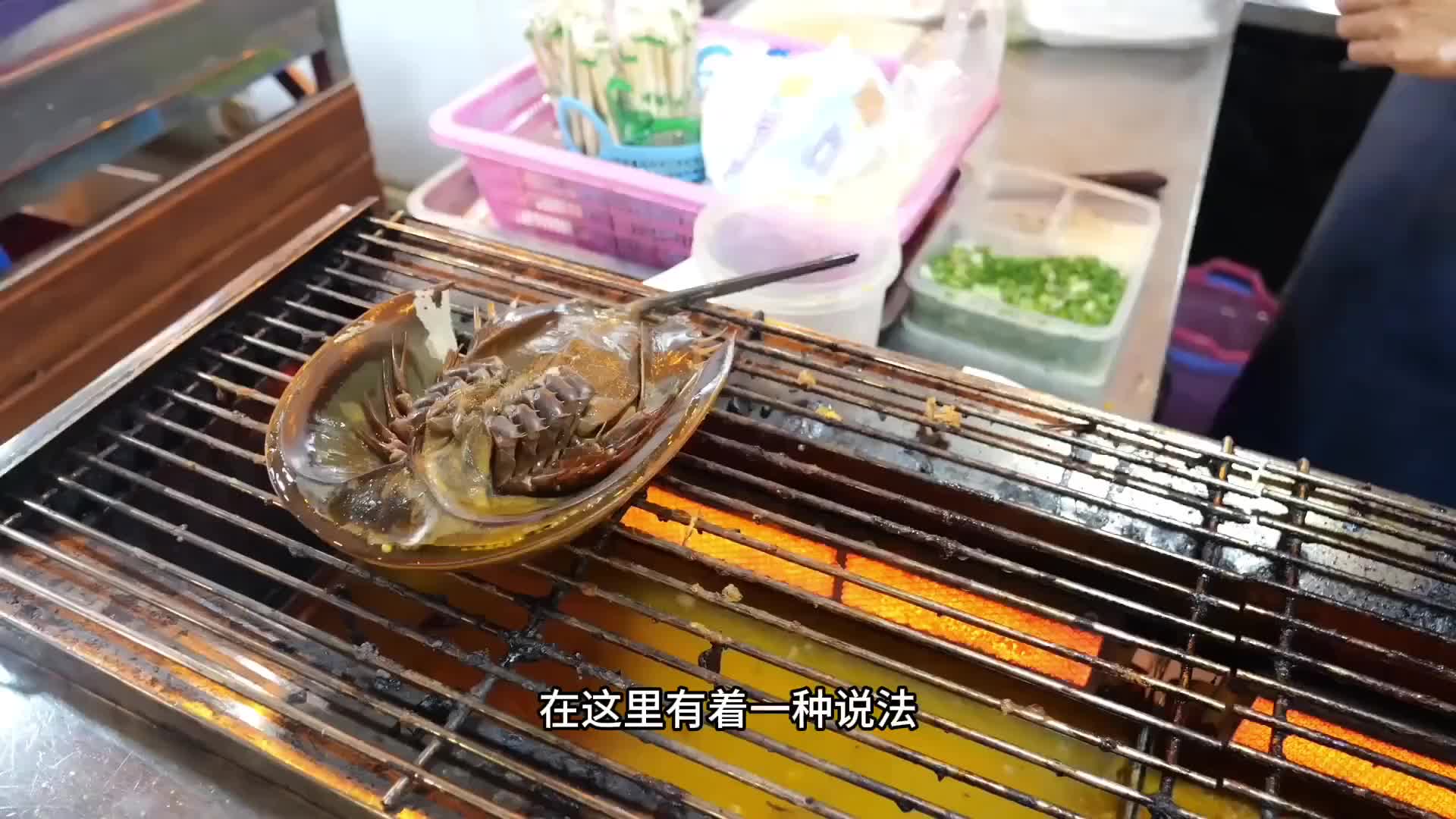 被当成大熊猫保护起来的马蹄蟹，在这里却沦为十几块钱的地摊货，用来烤着吃特别美味。