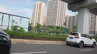 談喵喵球不回消息遭批