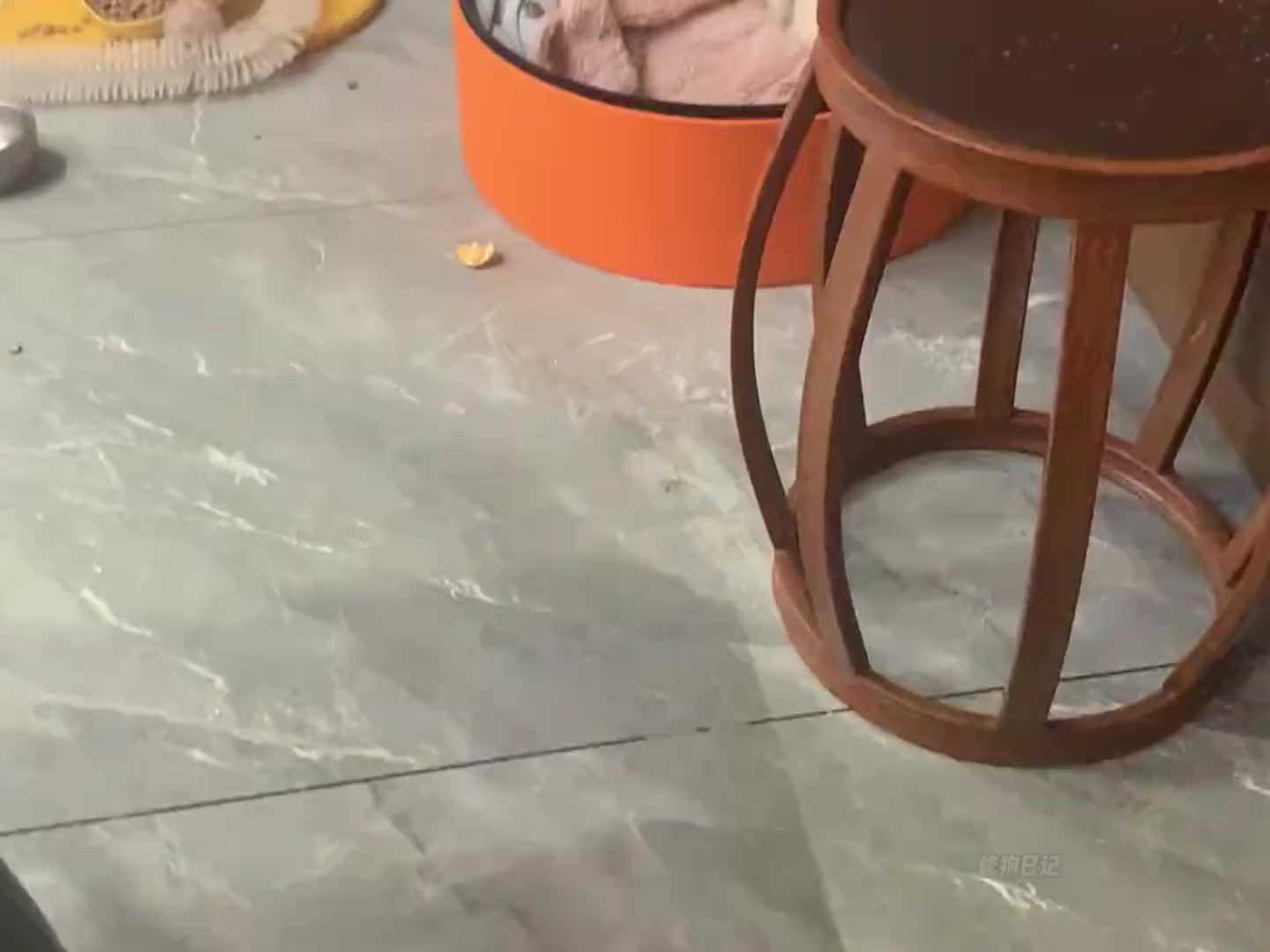 生气了，你们自己猜！