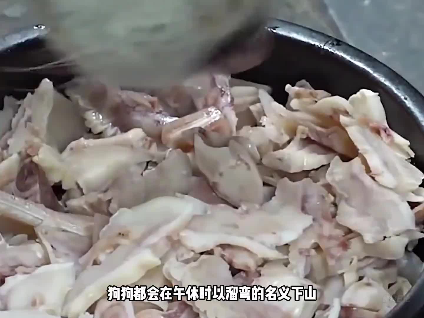 这狗子私下什么都来呀！