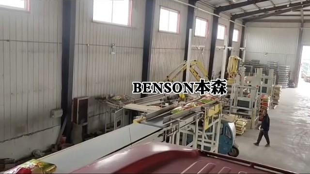 人工拆垛装车太累？全自动拆垛装车机器人，一站式无人作业3D视觉精准抓取，24小时不停工，饲料、化肥、