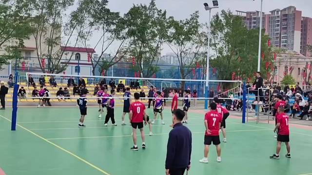 排球爱好者