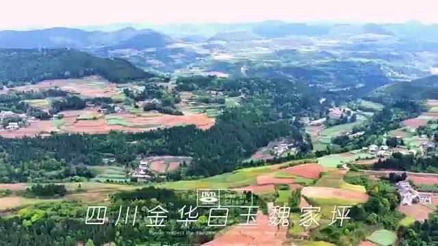 四川射洪金华白玉魏家坪