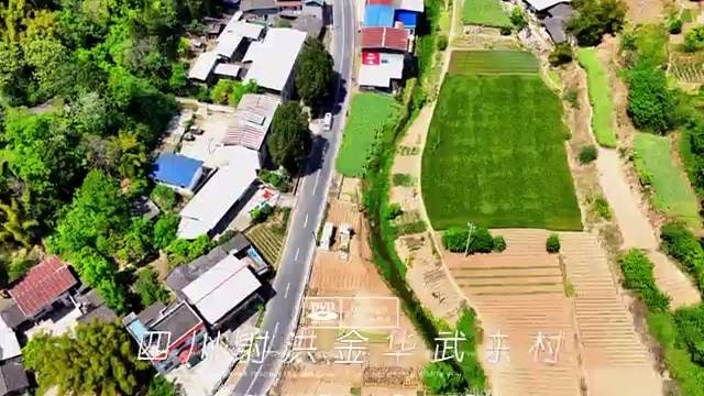 四川射洪金华武东村