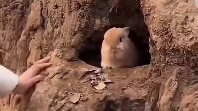 科技改变生活